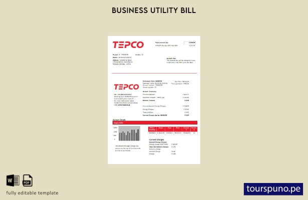 listo para imprimir la factura comercial de servicios eléctricos de Tokyo Electr